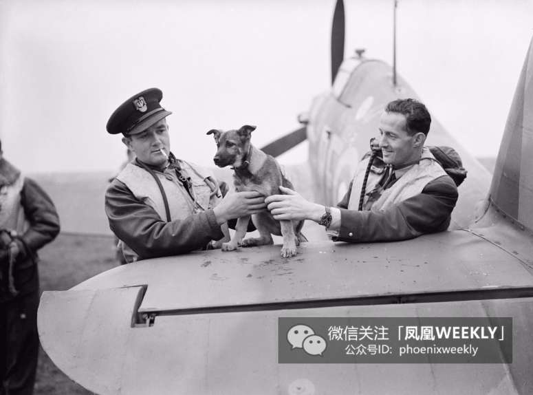 飓风电影真实事件 20190213130533_57164.png